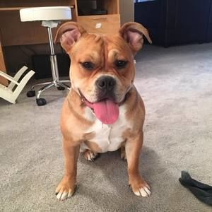 Meet your Posher, Rosalie